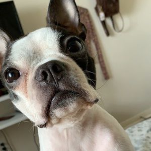 Meet your Posher, Hailey